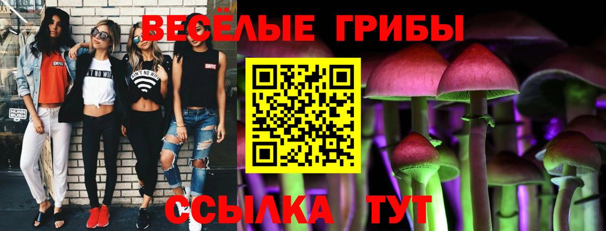 Псилоцибиновые грибы мухоморы Орёл